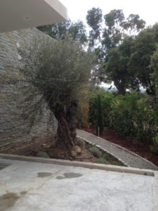 Villa à louer à Pinarello avec terrasse