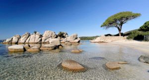 Location villa en corse avec vue sur mer