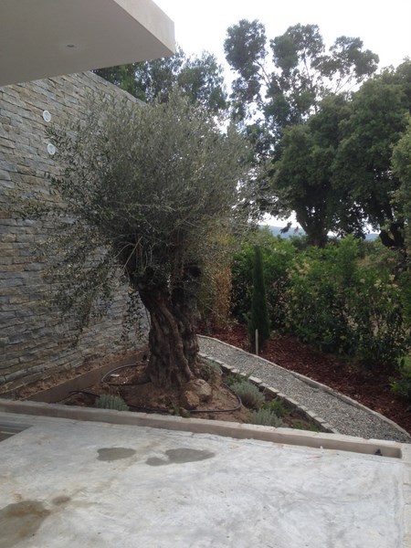 Villa à louer à Pinarello avec terrasse