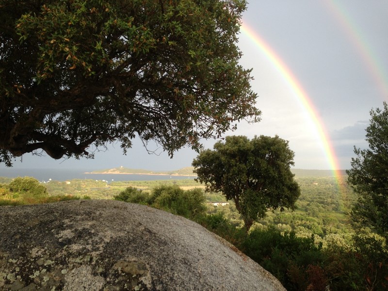 Vue Villa à Porto Vecchio